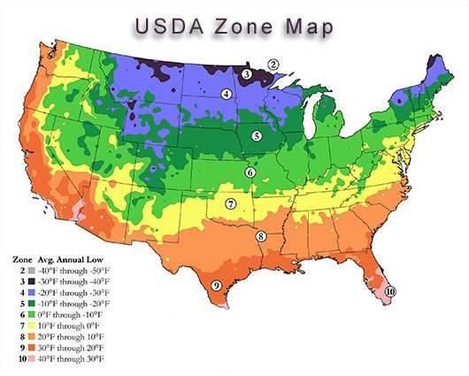 usda zone 4 8